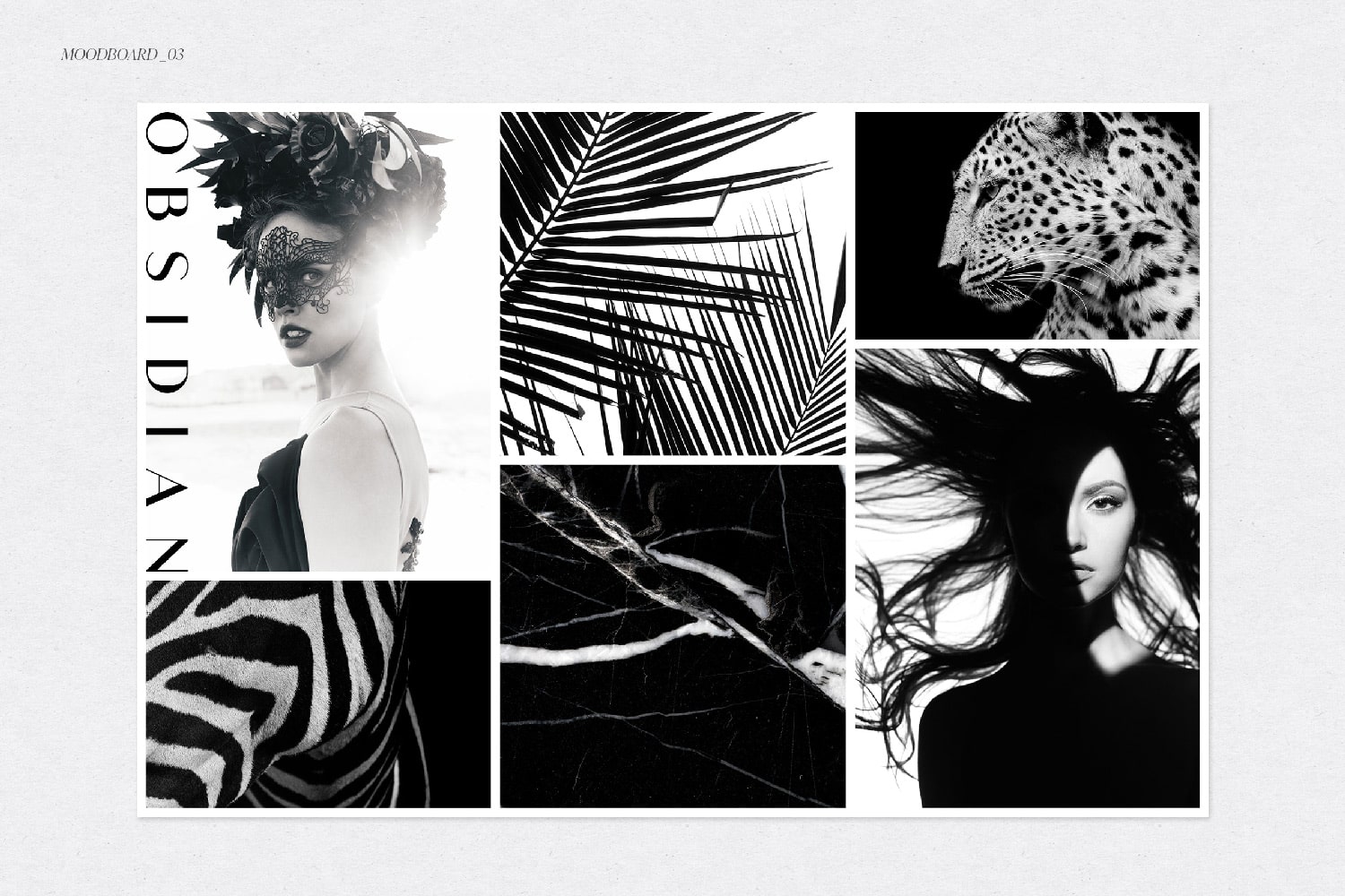 Un Moodboard minimaliste, moderne, féminin, mystérieux et sauvage. Son nom : L'indomptable. Un univers noir et blanc chic et désinvolte.